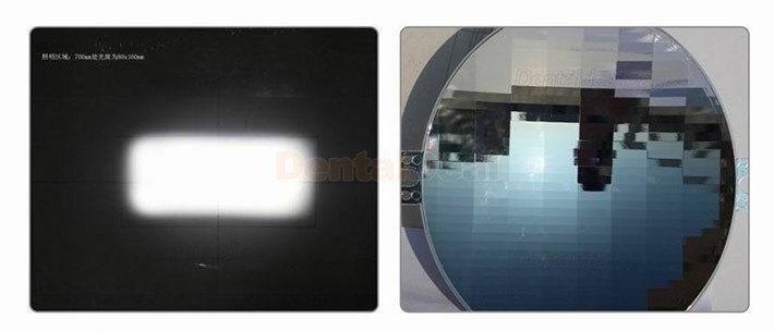 YUSENDENT COXO CX249-21 Dental LED Light for Dental Chair Stepless Adjustable